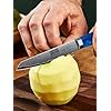 4" Ultra-Sharp Fruit Knife
