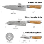 Ensemble de 3 couteaux Damas – Couteaux de chef, Santoku et d'office VG-10 avec manche ergonomique