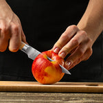 Damascus 67-Layer Japanese Paring Knife