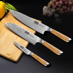 Ensemble de 3 couteaux Damas – Couteaux de chef, Santoku et d'office VG-10 avec manche ergonomique