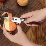 3.75-Inch Paring Knife – High Carbon Stainless Steel Japanese Fruit Knife with Ergonomic Wood Handle