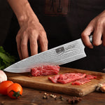 Ensemble de 3 couteaux Damas – Couteaux de chef, Santoku et d'office VG-10 avec manche ergonomique