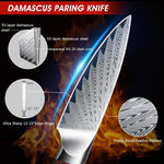 3.75" Damascus Paring Knife
